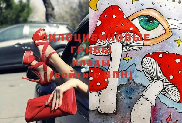 мет Абаза