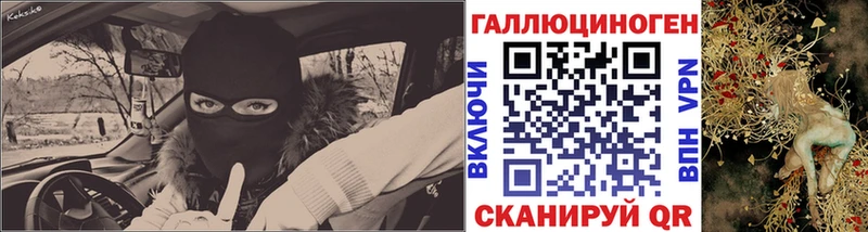 где найти Аргун Псилоцибиновые грибы Magic Shrooms